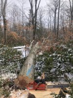 A347D6B8-D208-4FFE-A523-CD68E3092386.jpeg