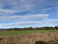6F855AC0-9ED9-4AA1-B272-86A45A78CE89.jpeg