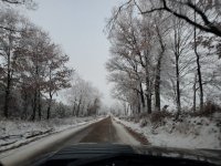 20210107_074247.jpg