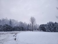 20210107_071637.jpg