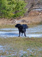 20201127_120930.jpg