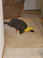 20200909_064529.jpg