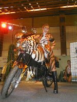 ossimotos-tiger.jpg