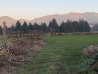 3AEA92F6-841E-41D2-8B15-AE040FAC54B1.jpeg