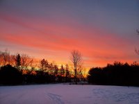 20210120_071219.jpg