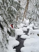 274D096B-9179-41F4-B979-9D07F0B43AD7.jpeg