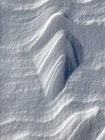 F7895496-1B26-4C9E-8A2F-26C0A39D6BBF.jpeg