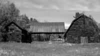 AB56EA50-3AF5-418B-8391-A6AC5038D3F1.jpeg