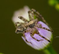 DSC03678-Exposure (1000x914).jpg