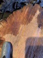 D452971D-7809-492F-9936-11A23E4AB004.jpeg