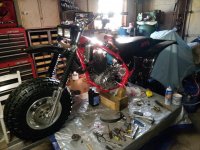 IMG_20210123_163833.jpg