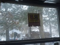 20210127_094814.jpg