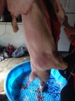 image.jpeg image.jpeg