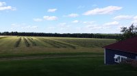 20160731_172910.jpg