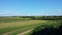 20160731_182433.jpg