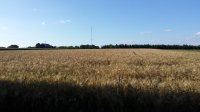 20160731_182105.jpg
