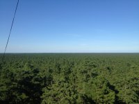 IMG_1071.JPG