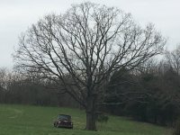 IMG_0278.JPG