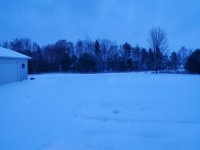 20210131_070117.jpg
