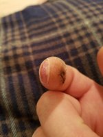 20210208_194011.jpg