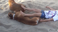 BAF64893-6BE0-4042-ACAA-4BC0E388FBA0.gif