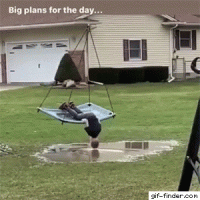 6C30DE6C-6862-4C93-B44A-D7F4F9EE467E.gif
