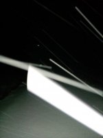 IMG_20210211_062131.jpg