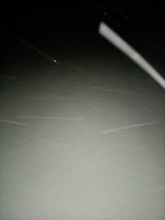 IMG_20210211_062138.jpg