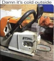 Cold Stihl.jpeg