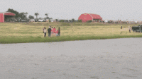 28B031B8-E943-4805-ABD2-412659ECE7F2.gif