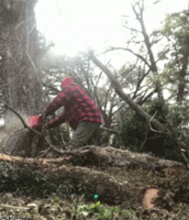 F1FAFC47-1E16-47A1-860D-45C5D5D9045E.gif