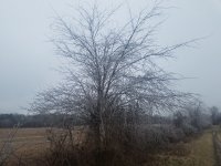 20210215_090525.jpg