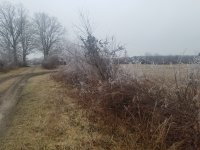 20210215_090534.jpg