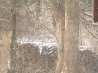 20210207_094217.jpg