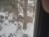 20210215_120206.jpg