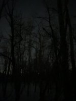 94723380-BC46-45A0-82CC-63FEAEA28FEE.jpeg