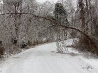 IMG_20210216_110343.jpg
