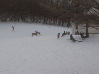 IMG_20210217_170623473.jpg