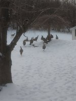 IMG_20210217_170610691.jpg