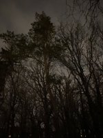 0D8AA176-8CE2-4866-A8EE-2E58835AB474.jpeg