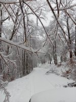 IMG_20210218_142955.jpg