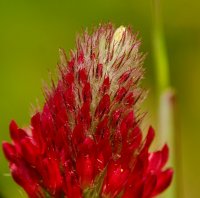 DSC03338-Exposure (1280x1269).jpg