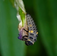 DSC03313-Exposure (1100x1069).jpg