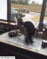 701386DC-02D5-464B-B272-48AF054BBDED.gif