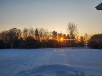 20210220_070852.jpg