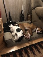 B0C677A7-9D31-4127-8BF1-D7F662D555AE.jpeg B0C677A7-9D31-4127-8BF1-D7F662D555AE.jpeg