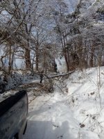 IMG_20210221_100051.jpg