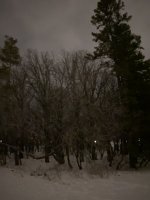 E3C45845-BC6B-48CC-B342-AFAF3981089B.jpeg