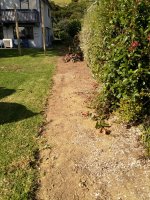 IMG_20210223_171539.jpg