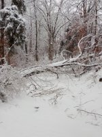 IMG_20210218_172735.jpg
